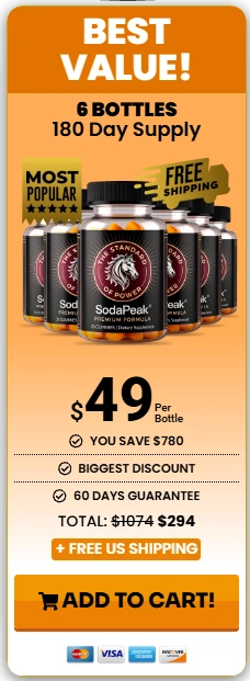 SodaPeak 6 bottles
